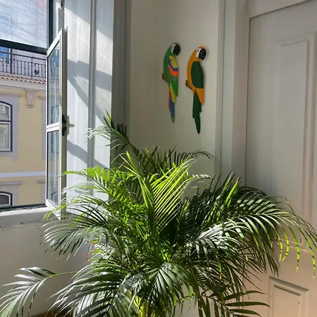 Chiado Guest house